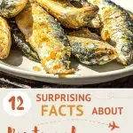 Pinterest Facts About Portuguese Food by Authentic Food Quest