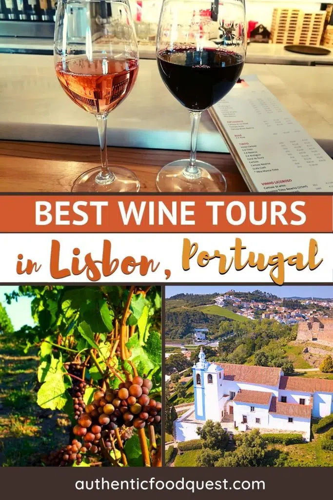 10 Best Lisbon Wine Tours: From Winery Visits To Porto Tasting 1