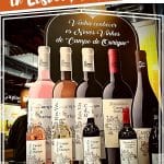 Pinterest Wine Tours Lisbon by Authentic Food Quest