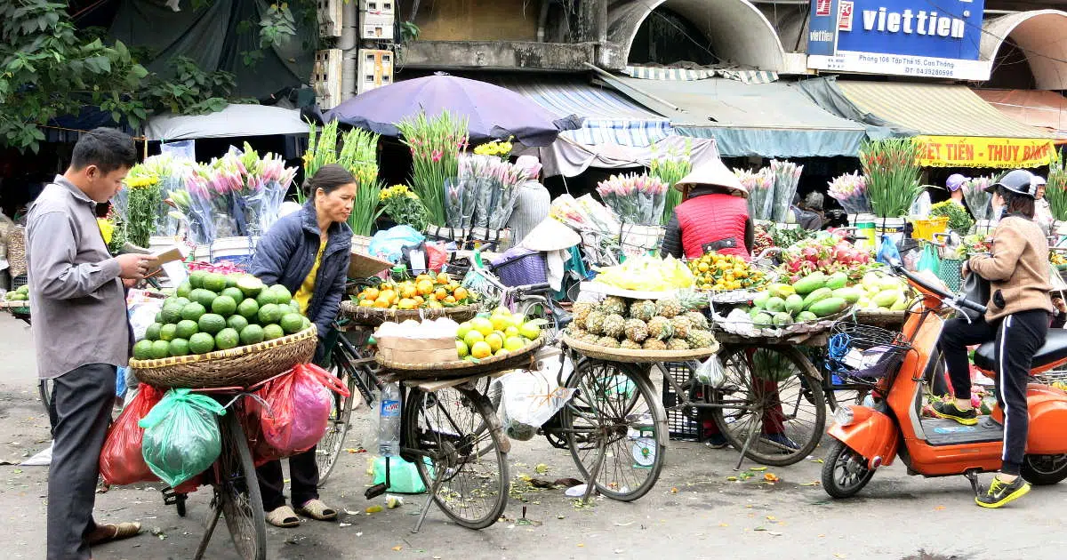 Hanoi Vietnam Food Tours by Authentic Food Quest