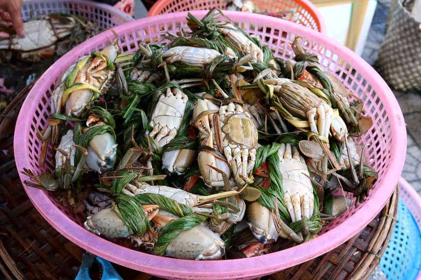 Crab Fishing Best Hoian Cooking Class by Authentic Food Quest