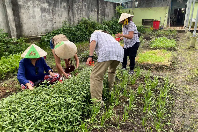 Farm to Table Ho Chi Minh Cooking Class by Authentic Food Quest