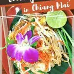 Thai Cooking Classes Chiang Mai by Authentic Food Quest
