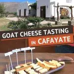 Pinterest Visit Cabras de Cafayate Argentina by AuthenticFoodQuest