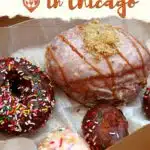 Best Food Tours In Chicago by Authentic Food Quest