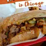 Chicago Food Tours by Authentic Food Quest