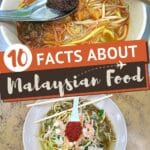 Pinterest Facts about Malaysian Food by AuthenticFoodQuest