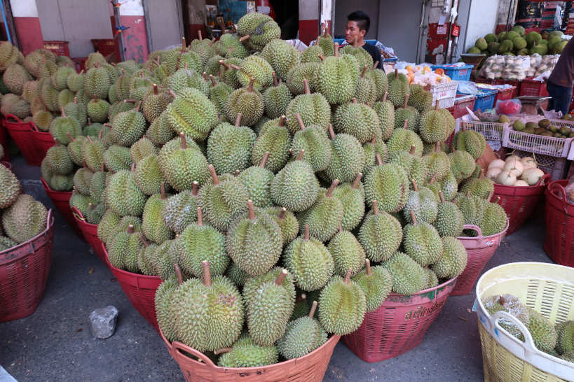 durian Chiang Mai Market Authentic Food Quest