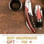 Pinterest Cheap Wine Accessories Gifts by Authentic Food Quest
