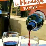 Mendoza Wine Region by Authentic Food Quest