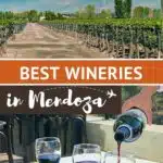 Wineries Mendoza by Authentic Food Quest