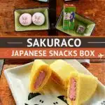 Pinterest Sakuraco Box Review by Authentic Food Quest