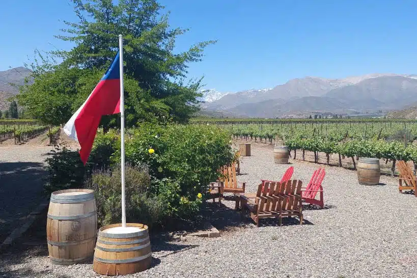 Aconcagua Private Wine Tour Wine Tours Chile Santiago by Authentic Food Quest
