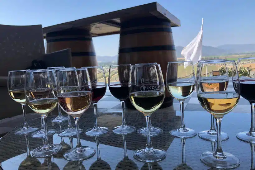 10 Best Wine Tours in Santiago: A Guide To Chilean Wine Tasting 1