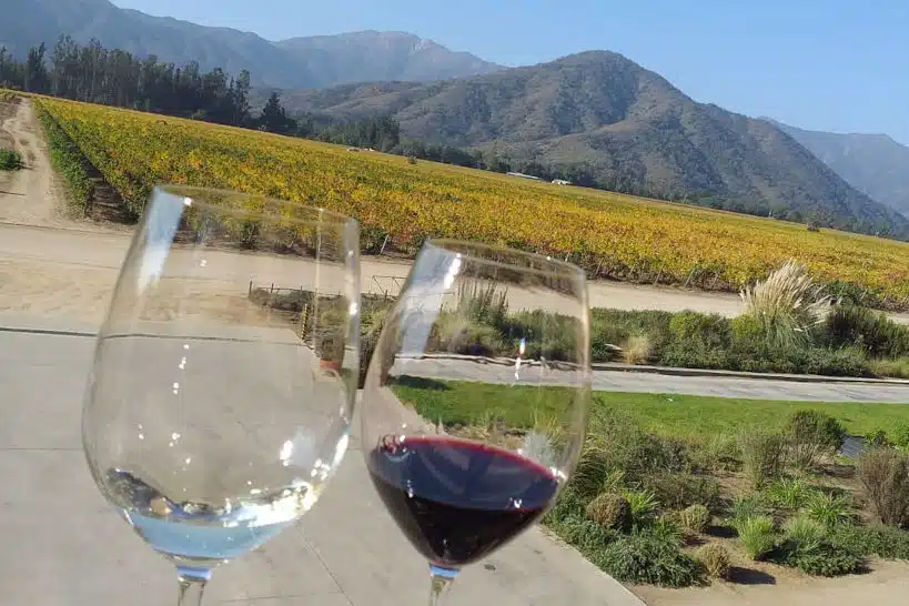 Casablanca Chilean Winery Tours by Authentic Food Quest
