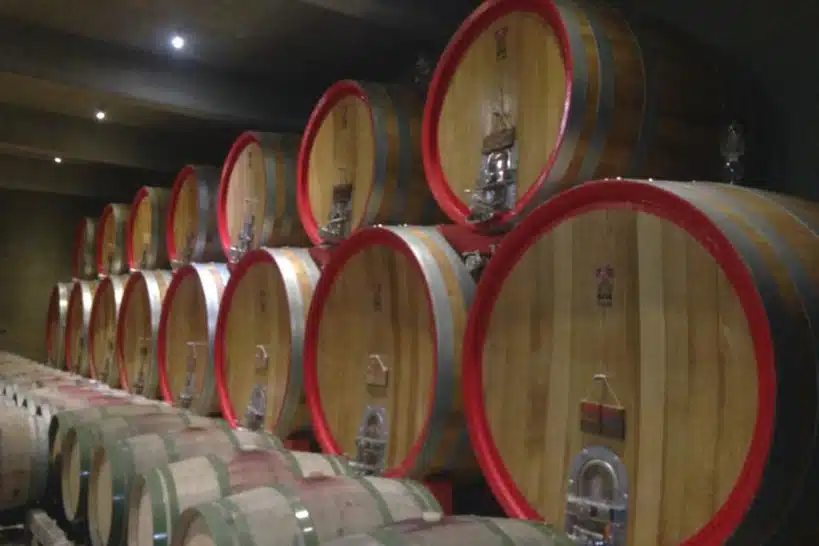 Full Day Casablanca Wine Tours In Santiago Chile by Authentic Food Quest