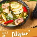 Pinterest Best Filipino Cook book by Authentic Food Quest