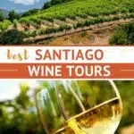 Pinterest Wine Tours Chile Santiago Authentic Food Quest
