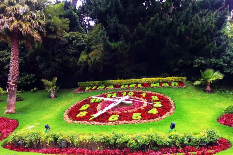 Private Tour Vina Del Mar Wine Tours In Chile From Santiago by Authentic Food Quest