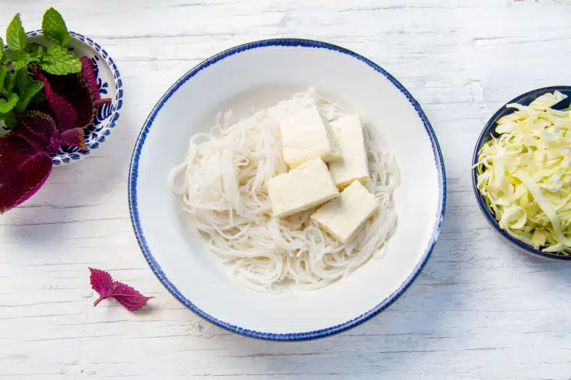 Tofu Noodles Bun Rieu Vietnamese by Authentic Food Quest