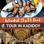 Pinterest Istanbul Street Food Tour by Authentic Food Quest