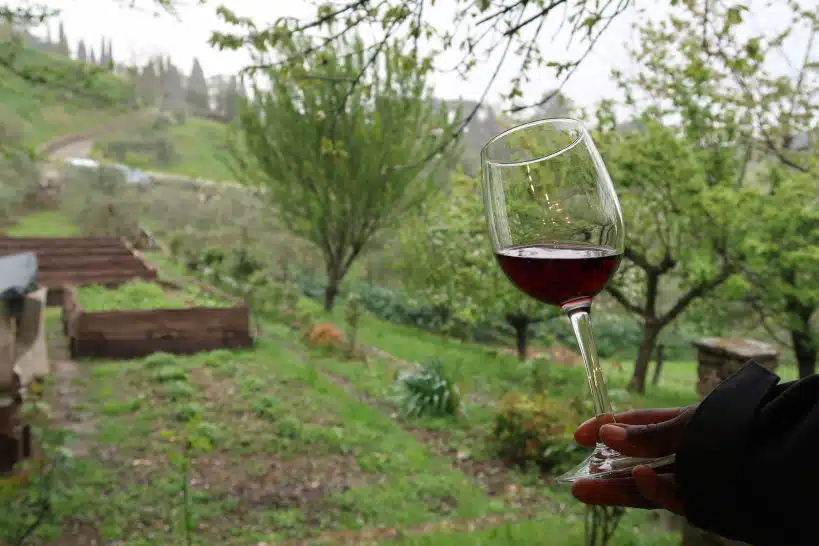 Wine Cooking Class In Florence by Authentic Food Quest