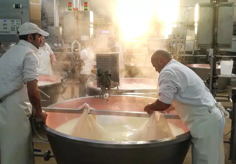 Parmigiano Reggiano Factory Food Tour Bologna by Authentic Food Quest