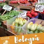 Bologna Food Markets by Authentic Food Quest