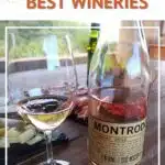 Costa Brava Wine Tour by Authentic Food Quest
