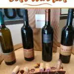 Wine Tasting Costa Brava by Authentic Food Quest