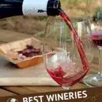 Winery Costa Brava by Authentic Food Quest