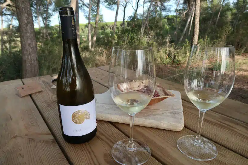 Wine Tasting Winery Costa Brava by Authentic Food Quest