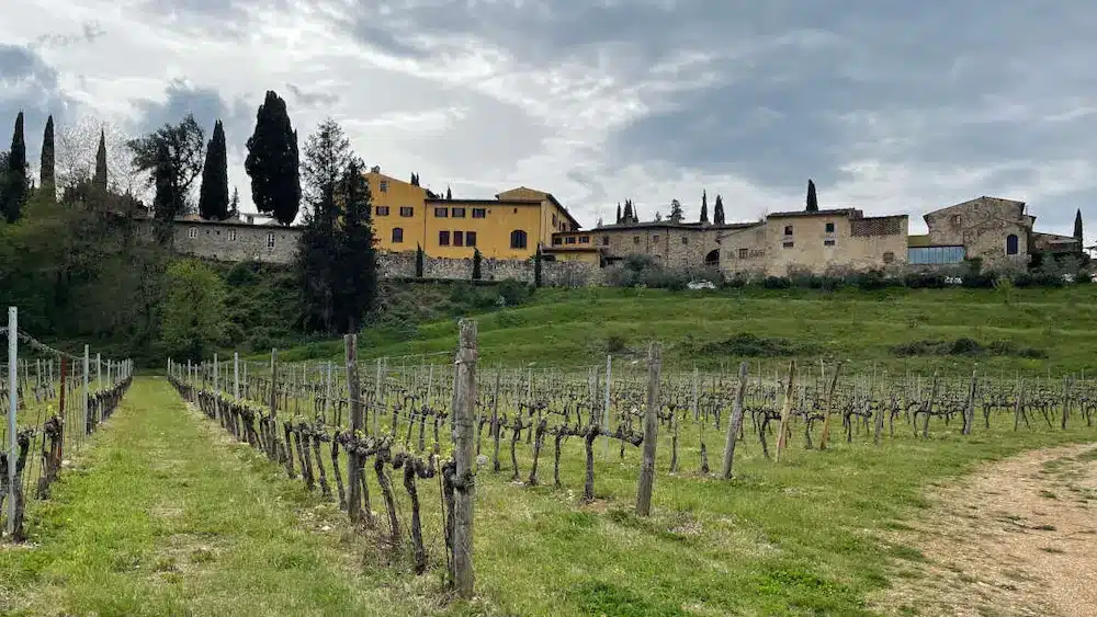 Wine Tours From Rome by Authentic Food Quest