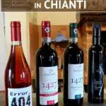 Chianti Wine Tour by Authentic Food Quest
