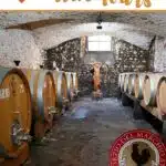 Chianti Wine Tours by Authentic Food Quest