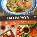 Famous Laotian Salad by Authentic Food Quest