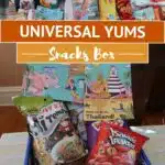 Is Universal Yums Worth It by Authentic Food Quest