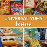 Universal Snacks Review by Authentic Food Quest