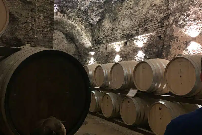 Private Wine Tasting Tour Winery Tours From Rome by Authentic Food Quest