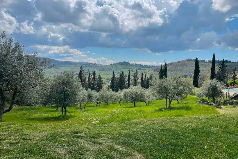 Tuscany Wine Tours From Rome by Authentic Food Quest