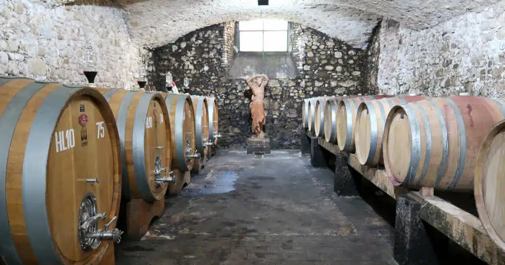 Wine Cellar Chianti Winery Tours by Authentic Food Quest
