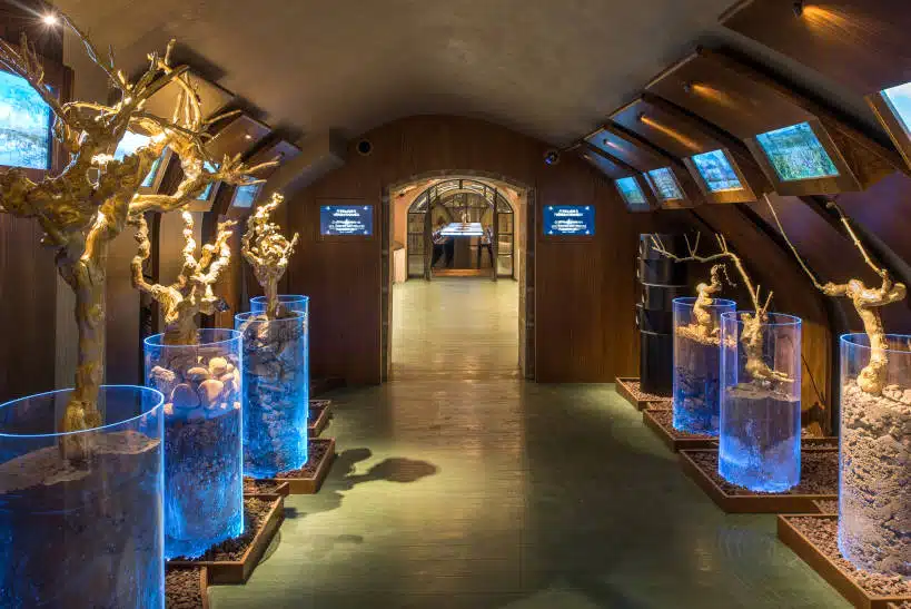 Wine Museum Wine And Cheese Tasting Paris by Authentic Food Quest