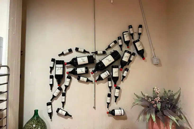 Wine bottles Rome Wine Tours by Authentic Food Quest