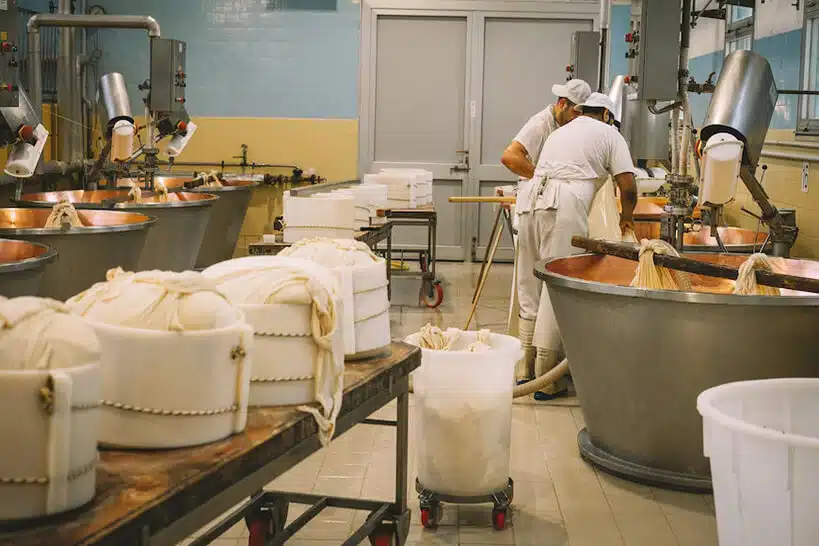 Day Tour Parmigiano, Ferrari Museum, Balsamic, Lambrusco Lunch with Transfer Bologna Wine Tour by Authentic Food Quest