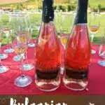 Bulgaria Winery by Authentic Food Quest