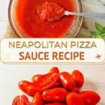 Neapolitan Pizza Sauce Recipe by Authentic Food Quest