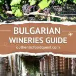 Winery Bulgaria by Authentic Food Quest