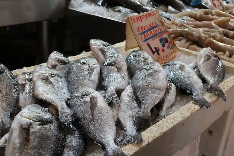 5 Best Food Markets In Athens Your Guide To Athens Central Market And